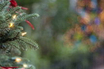 lights on a Christmas tree 