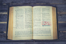 opened Bible outdoors 