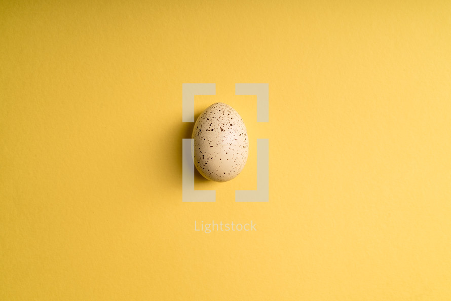 white speckled Easter egg on a yellow background 
