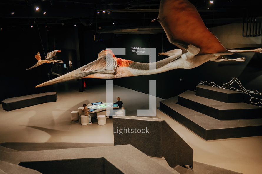 October 2023 - Prague, Czechia. Flying pterodactyl, pteranodon model in Dinosaur Museum. Modern exhibition for children and adults. Education concept. High quality photo