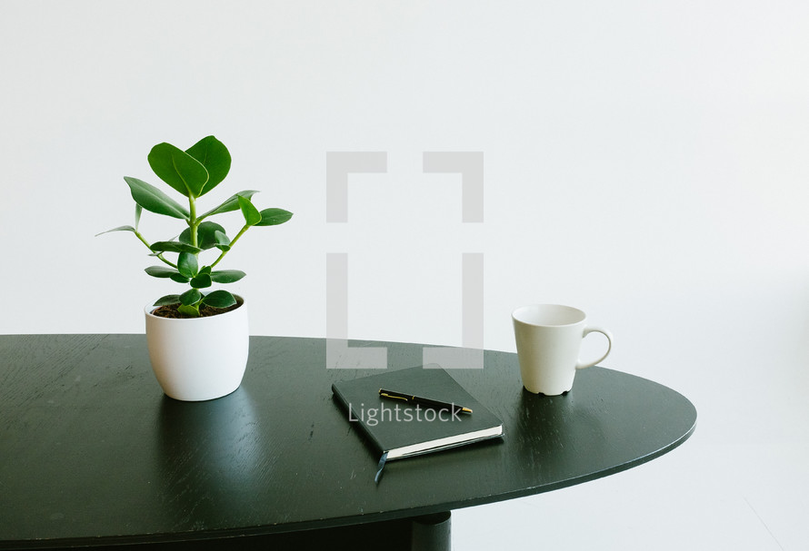 house plant, table, pen, journal, coffee cup 