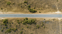 Top view of an open road through the green desert. 