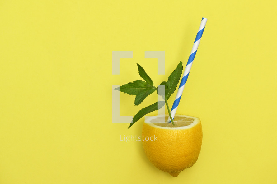 lemonade from lemon 