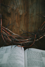 crown of thorns over an open Bible 