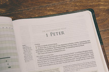 Bible opened to 1 Peter 