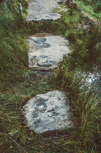 stepping stones 