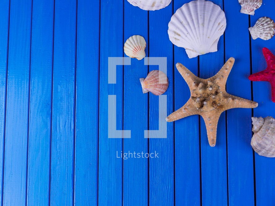 Various kinds of sea shells frame on blue vintage shabby wood table. Summertime sea vacation background with starfish