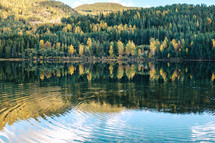 reflection of trees in a forest on lake water 