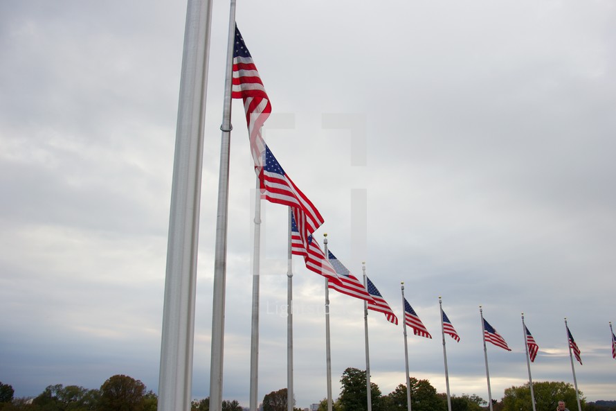 American flags in a row 