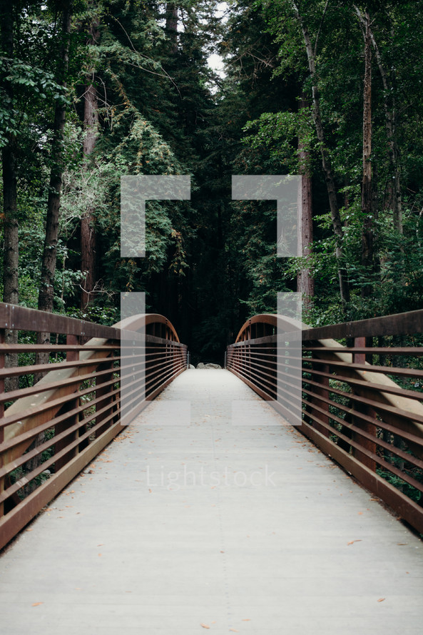 footbridge path into a forest 