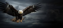 Bald Eagle flying in stormy sky. 3D illustration.