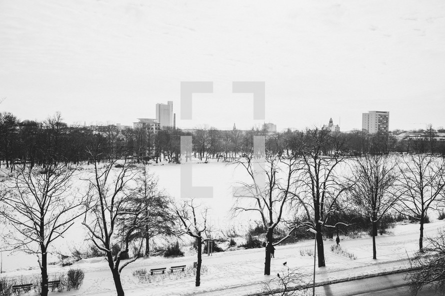 winter scene in a city park 