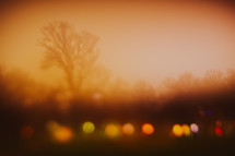 colorful bokeh lights outdoors at sunset with orange glow 