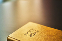 Close up of bible with light shining on it.