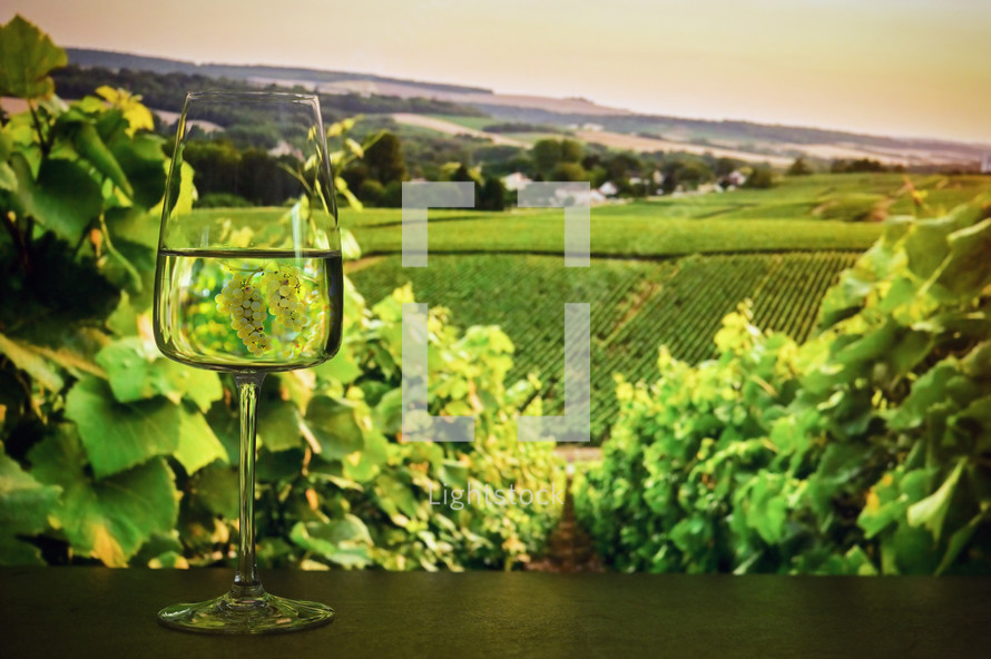 wine glass and vineyard view 
