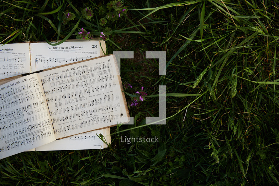 hymnal in grass 