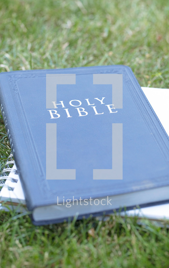 Bible and journal in grass