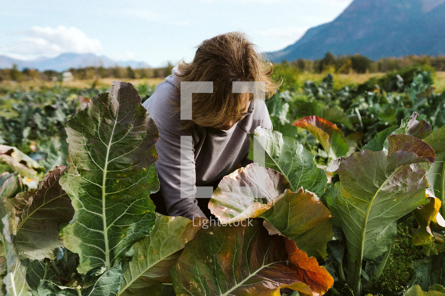 Woman holding leaves from garden vegetable