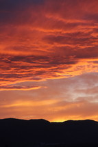 Vertical orange sky at sunset