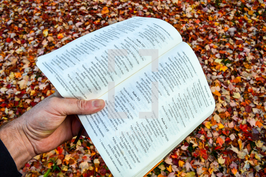 Holding an open bible with Autumn leaves in the background