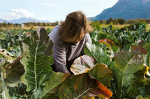Woman holding leaves from garden vegetable
