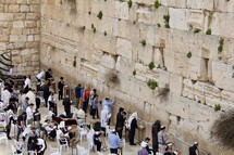 Men Praying at the Western Wall 