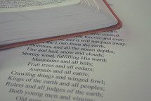 Scripture on pages of a Bible 