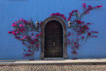 pink flowering vines around a doorway against a blue house 