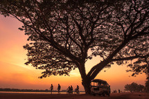 a silhouette of a tree and people walking and riding bikes at sunset 