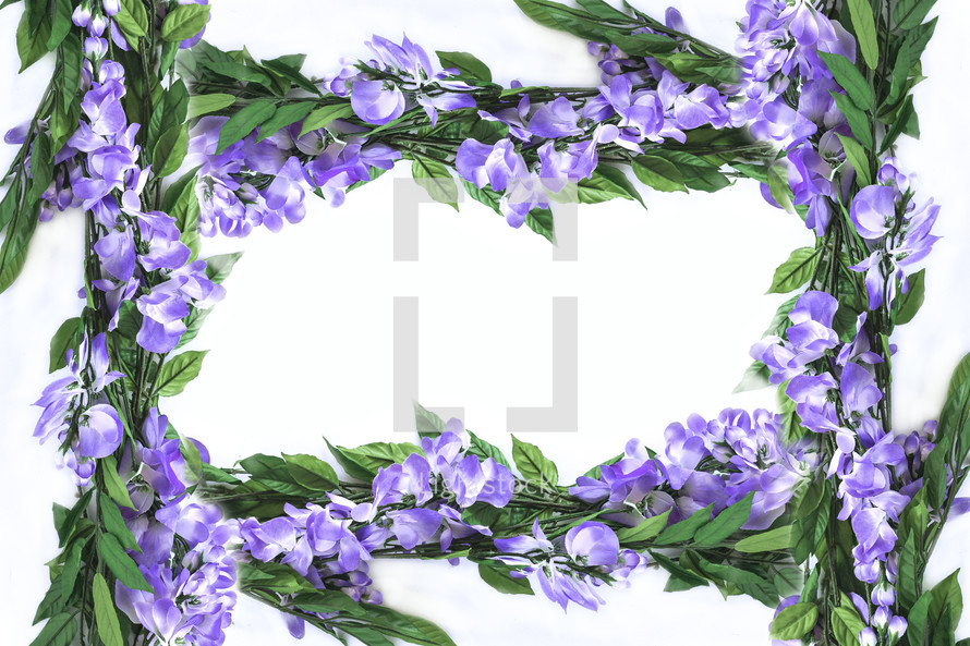 purple flower frame 