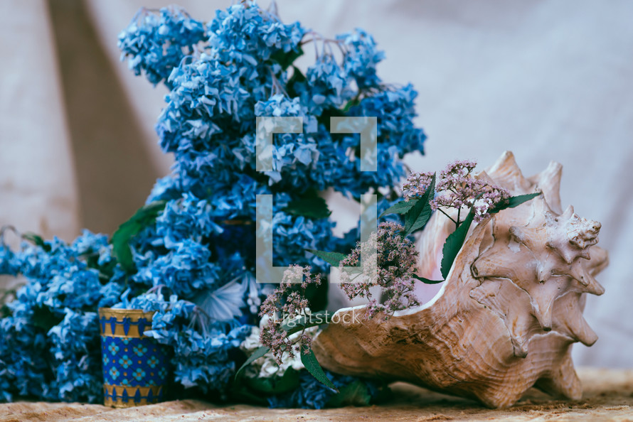 seashells and blue flowers