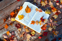 Open Bible on a cool Fall Morning