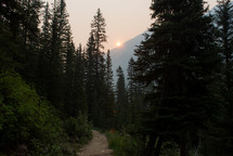 a path through a mountain forest 