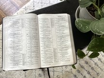 opened Bible and houseplant 