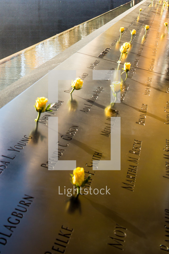 yellow roses at the 9/11 memorial 