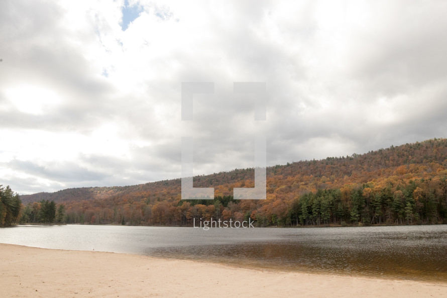 fall forest along a lake shore 