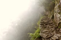 fog on a mountain cliff with pathway 