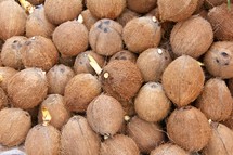 pile of coconuts 