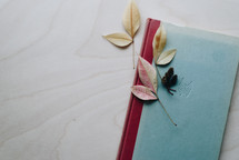 dried leaves on a journal 