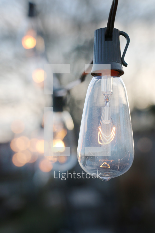 hanging light bulbs 