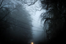 power lines in fog 