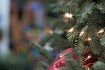  lights on a Christmas tree 