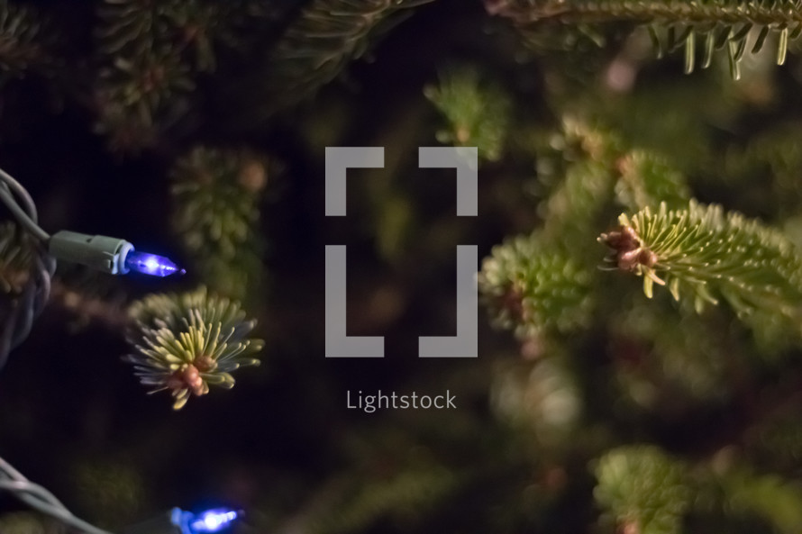 illuminated Christmas lights 