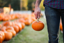 a man holding a pumpkin in a pumpkin patch 