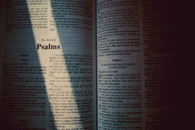 sunlight on the pages of a Bible opened to Psalms 