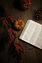 Bible, pumpkin, and berries on a wood table