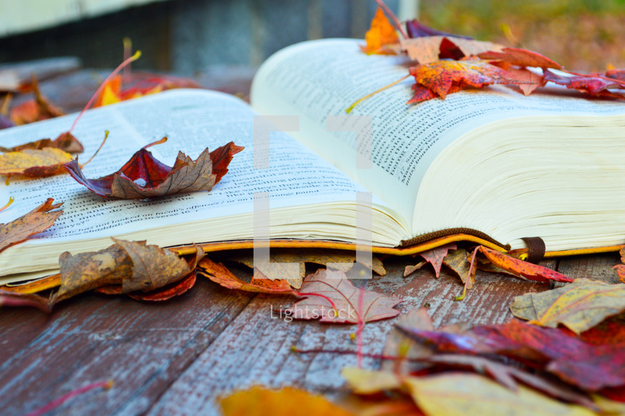 Open Bible on a Picnic Bench in Autumn