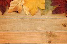 fall leaves border on wood 