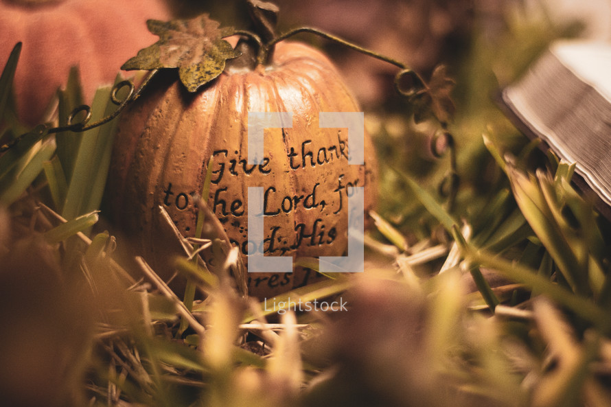Give thanks to the Lord pumpkin and Bible in grass
