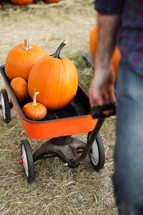 a man pulling pumpkins in a wagon 